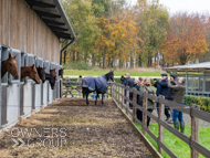 BP011124-120 - Ben Pauling Stable Visit